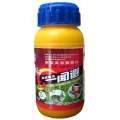 我的相册