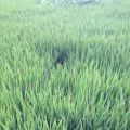 我的相册