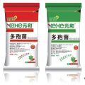 我的相册