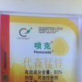 我的相册