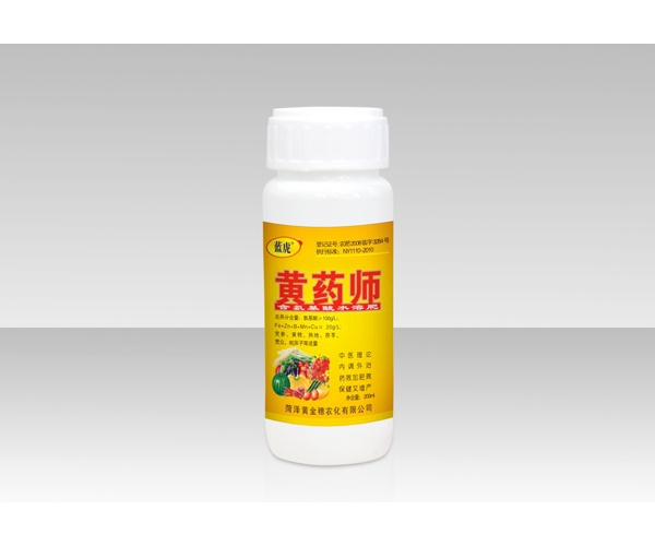黄药师