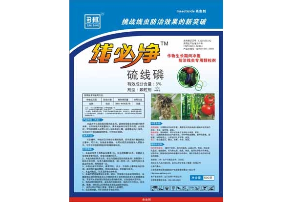 线必净