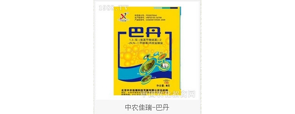 98%巴丹