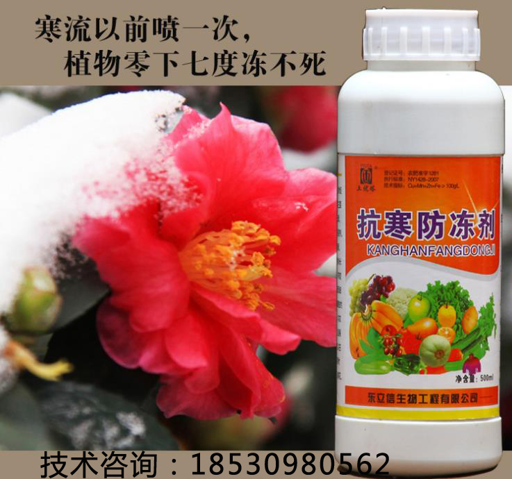 植物抗寒防冻剂