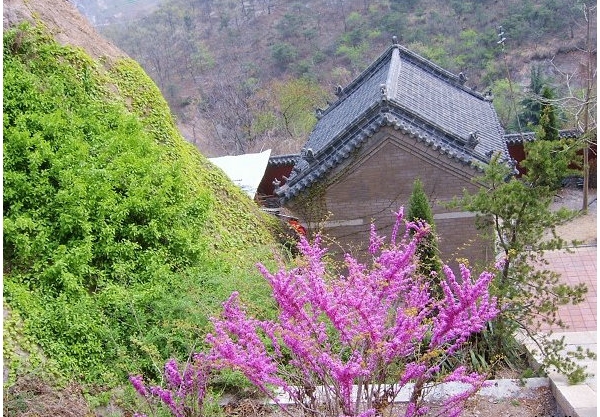 b030251499.jpg