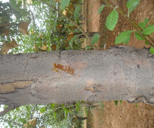 SAM_0061.JPG