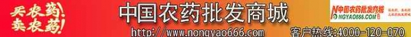 横.jpg
