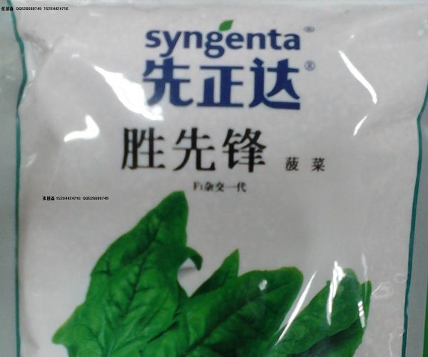圣先丰.jpg