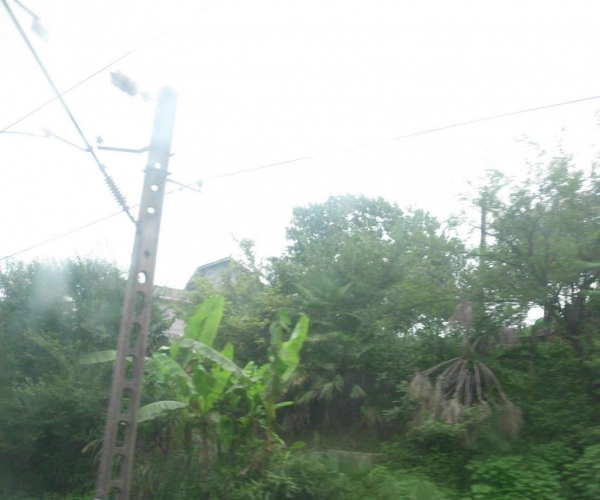 DSCI0367.JPG