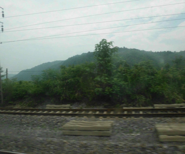 DSCI0376.JPG