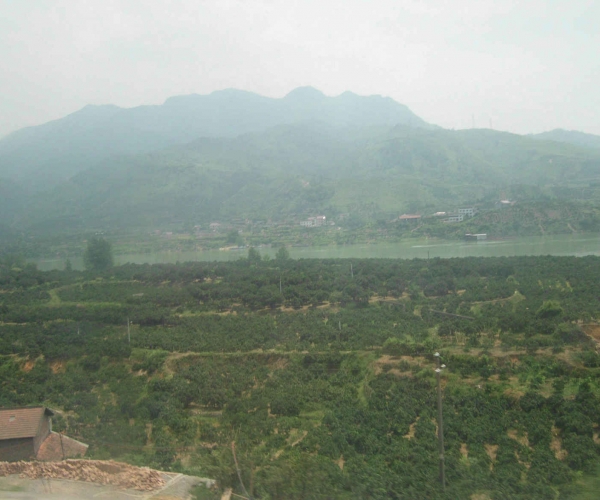 DSCI0399.JPG