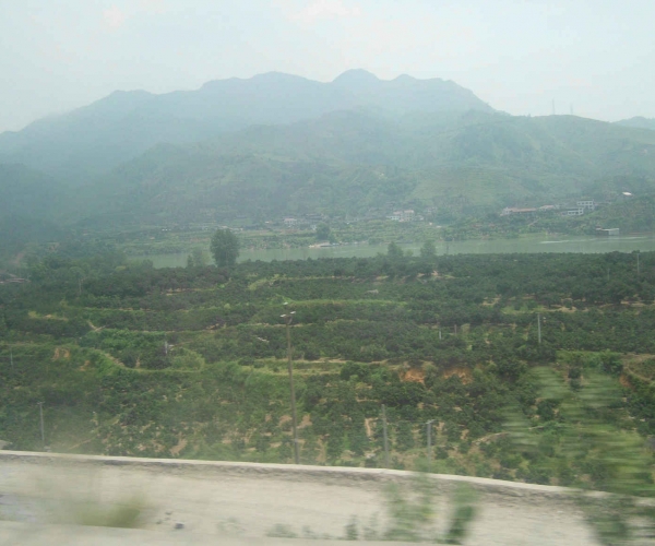 DSCI0400.JPG