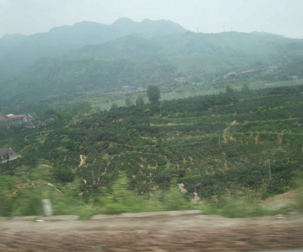 DSCI0402.JPG