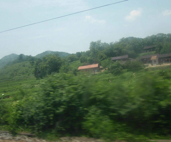 DSCI0403.JPG