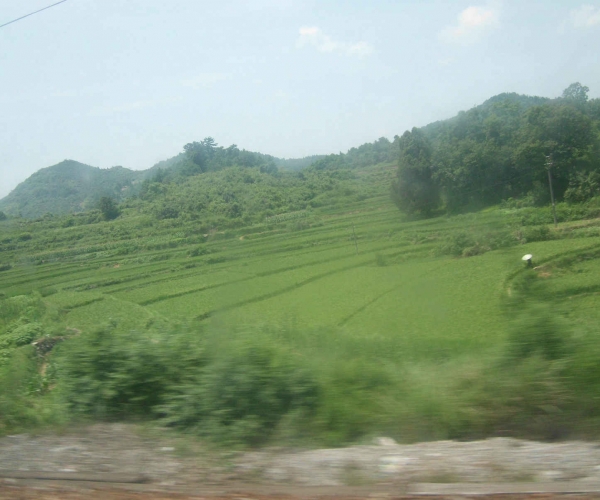 DSCI0404.JPG