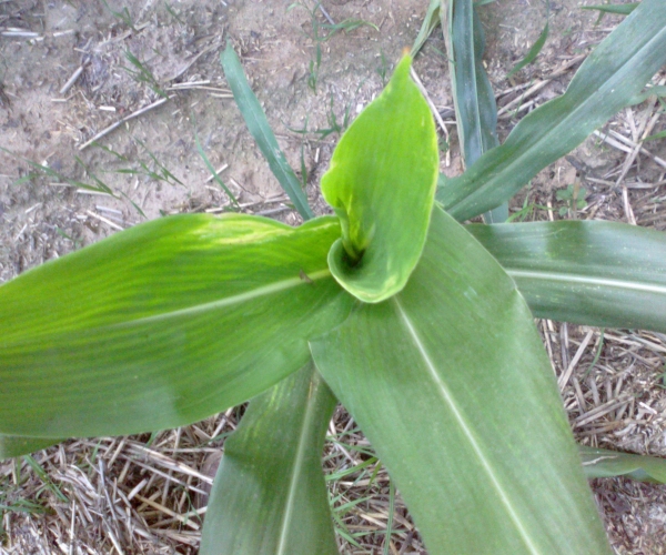 20120715399.jpg
