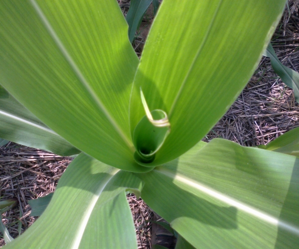 20120715387.jpg