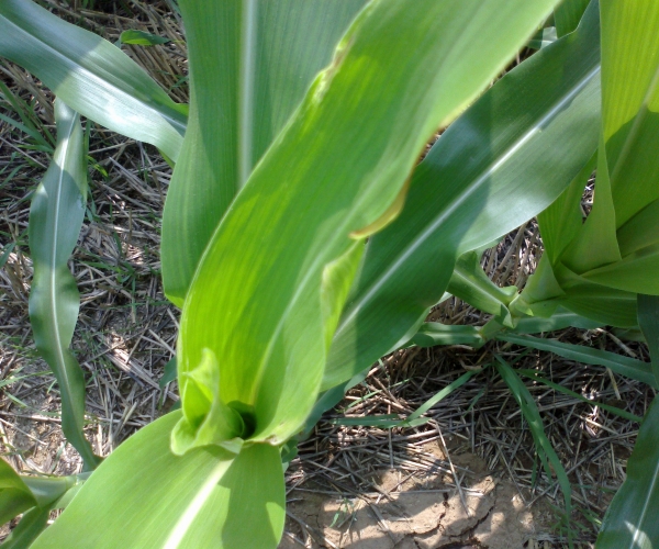 20120715389.jpg