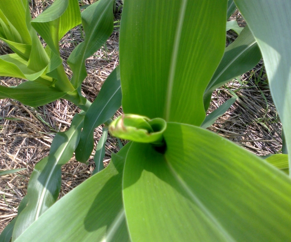 20120715390.jpg