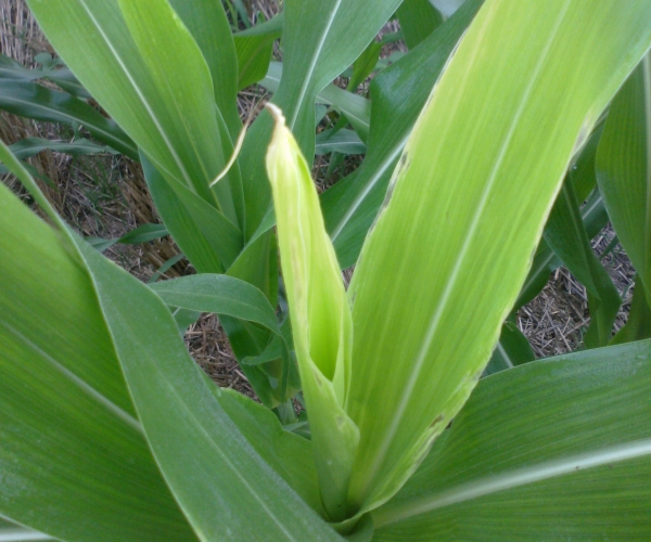 20120717405.jpg