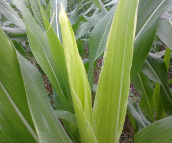 20120717406.jpg