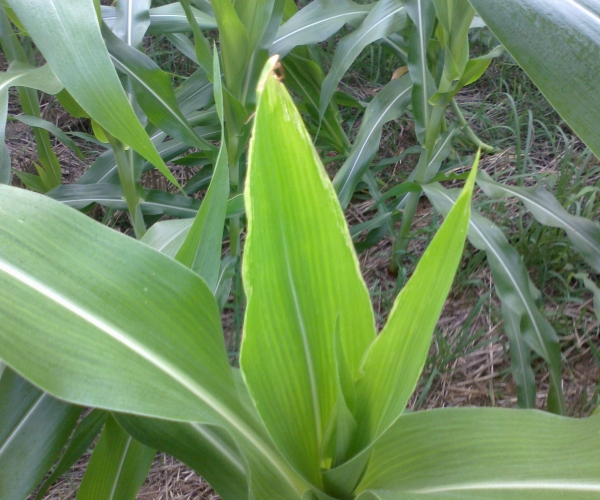 20120717407.jpg