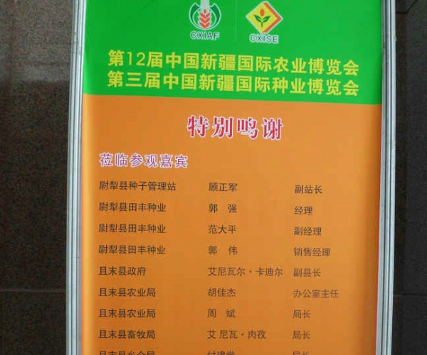 DSCI0935.JPG