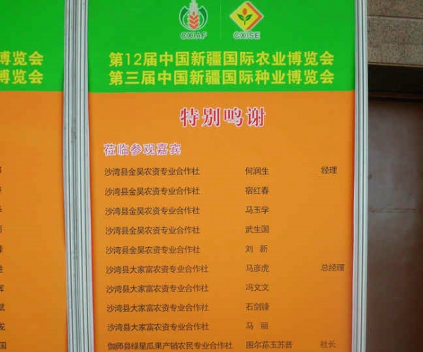 DSCI0937.JPG