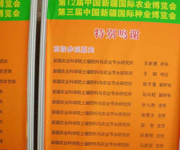DSCI0946.JPG