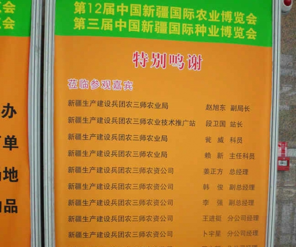 DSCI0954.JPG