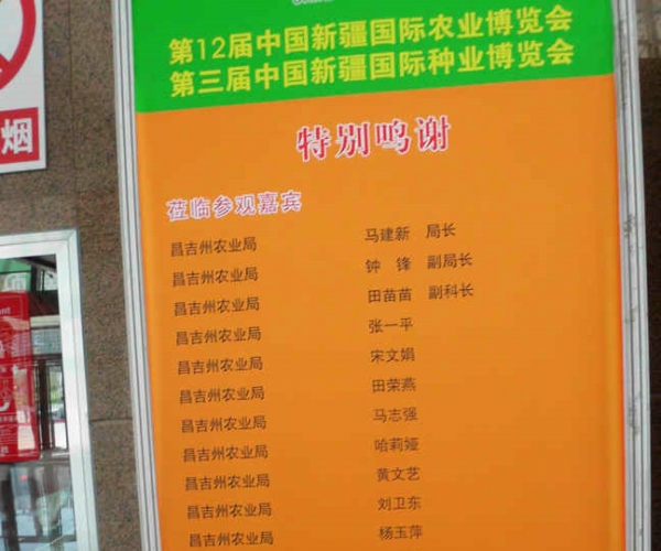 DSCI0951.JPG