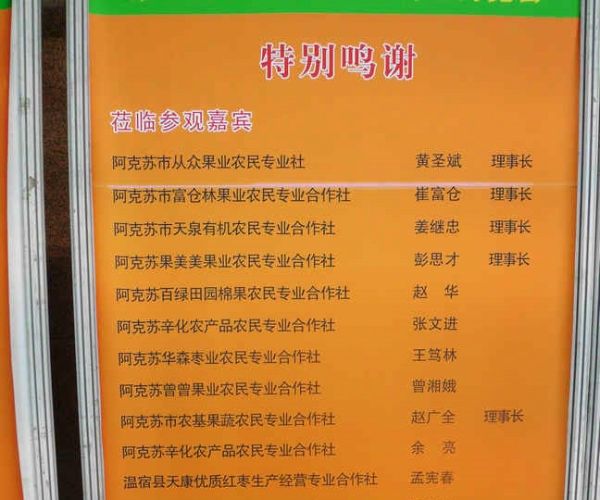 DSCI0958.JPG