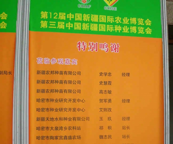 DSCI0960.JPG