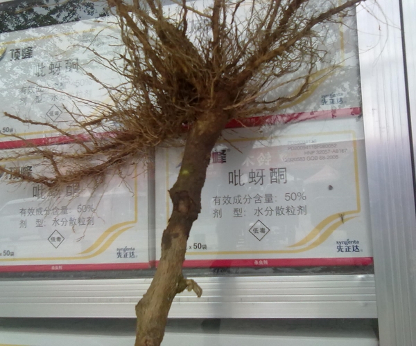 20120822356.jpg
