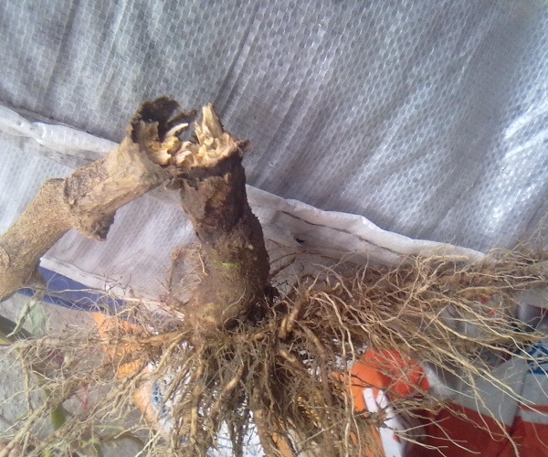 20120822363.jpg