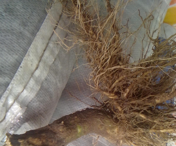 20120822367.jpg