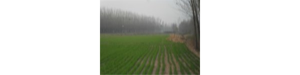 psb8.jpg