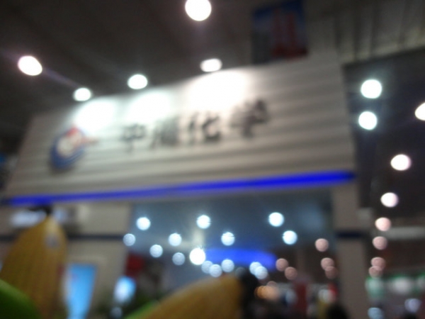DSC01990.JPG