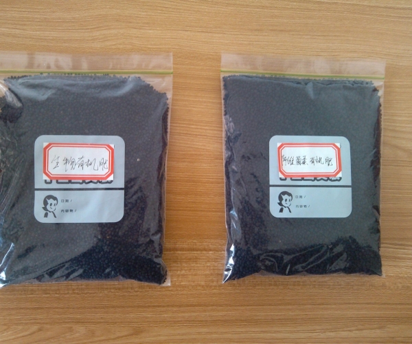 QQ图片20121203Д41.jpg