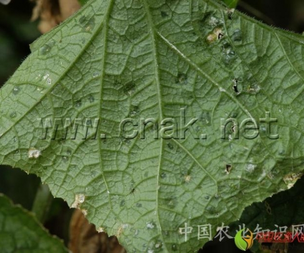 3_9186_a32fcece70934c5.jpg