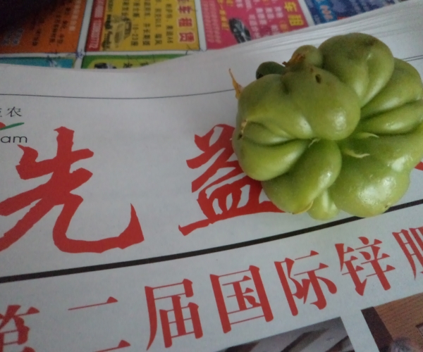 另一个