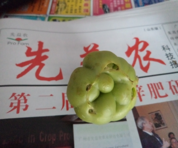 单个