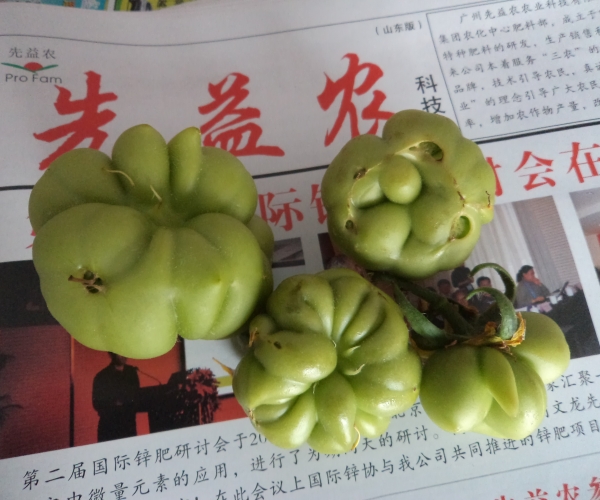 多个