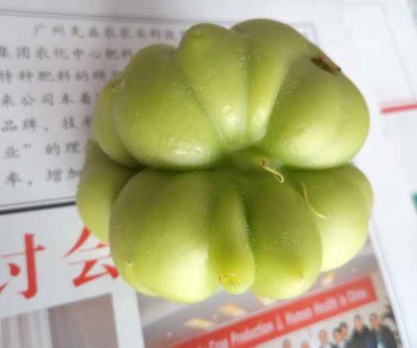 单个近照