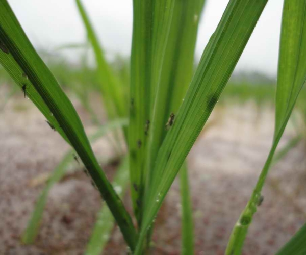 201061717537.jpg
