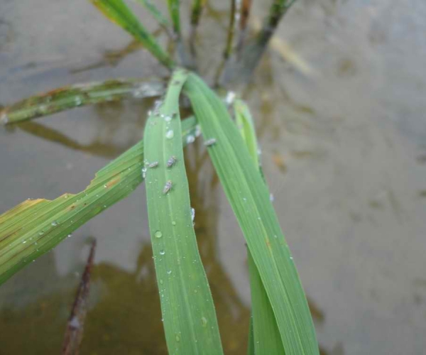 2010617175058.jpg