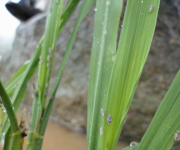 2010617175245.jpg