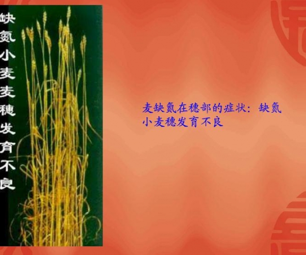 201209191348022371415.jpg