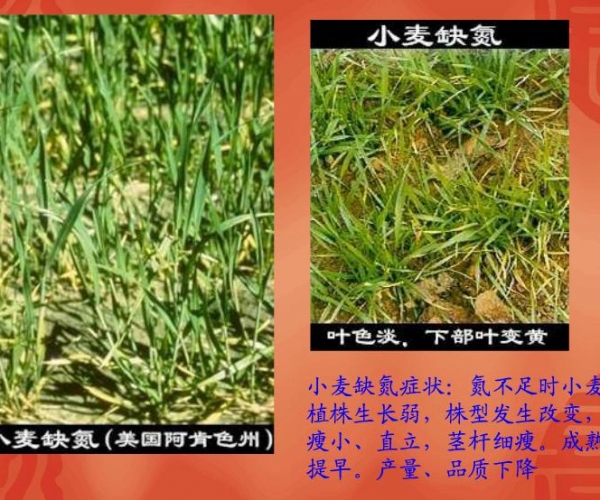 201209191348022956468.jpg