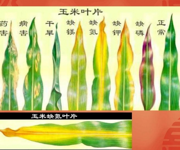 201209191348023012074.jpg